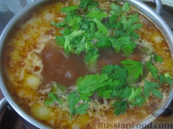 Суп с жареным мясом, вермишелью и паприкой